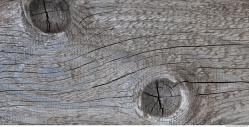 Photo Textures of Wood